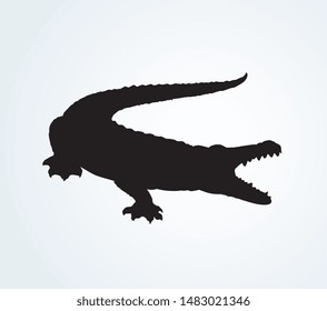 Squamate nile old rough scaly Crocodylia isolated on white background. Freehand outline ink hand drawn picture sign sketchy in art retro scribble style pen on paper. Closeup and space for text on sand