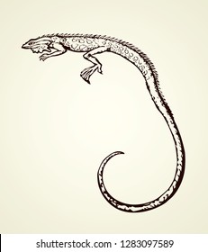 Squamate old reptiles Lacertilia pet isolated on white backdrop. Freehand outline ink hand drawn picture symbol sketchy in art retro doodle style pen on paper. Closeup view with space for text on sky
