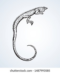 Squamate old reptiles Lacertilia pet isolated on white backdrop. Freehand outline ink hand drawn picture symbol sketchy in art retro doodle style pen on paper. Closeup view with space for text on sky