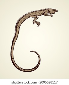 Squamate old reptiles Lacertilia pet isolated on white backdrop. Freehand outline ink hand drawn picture symbol sketchy in art retro doodle style pen on paper. Closeup view with space for text on sky