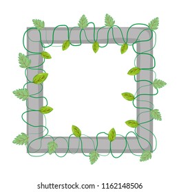 squard frame with branches leaves plants