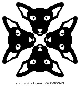 Square animal design with fore feline faces. Domestic cat of oriental breed. Black and white silhouette.