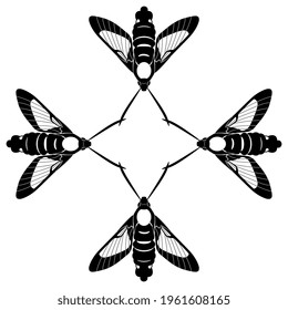 Square animal design or frame with four butterflies. Moth Hummingbird clearwing. Hemaris Thysbe. Black and white silhouette.