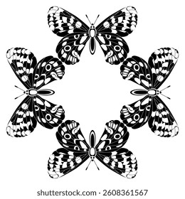 Square animal design or frame with four butterflies. Parnassius apollo butterfly. Black and white silhouette. 