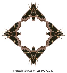 Square animal frame design with four Cizara sculpta moths. Beautiful Sphingida butterfly with spotted wings.