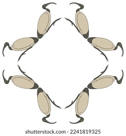 Square animal frame with perched ibises. Ancient Egyptian sacred bird of god Thoth. Isolated vector illustration.