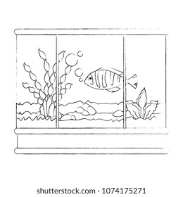 square aquarium with colors fish