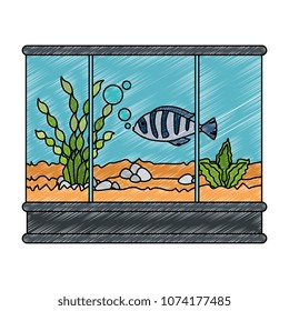 square aquarium with colors fish
