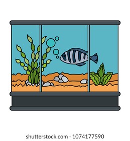 square aquarium with colors fish