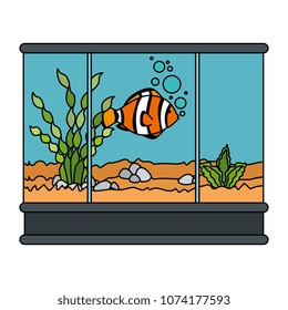 square aquarium with colors fish