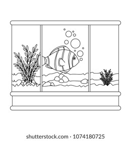 square aquarium with colors fish
