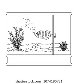 square aquarium with colors fish