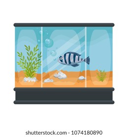 square aquarium with colors fish