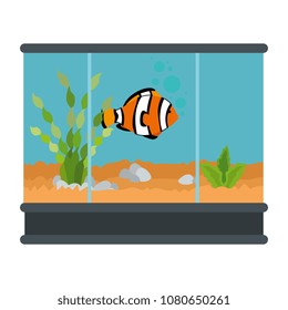 square aquarium with colors fish
