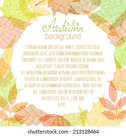 Square autumn background. Autumn hand-drawn leaves on white background. There is place for your text in circle area.