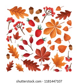 Square backdrop with textured fallen tree autumn leaves or dried foliage, acorns, nuts, berries on white background. Elegant seasonal decoration. Colorful vector illustration in modern trendy style.