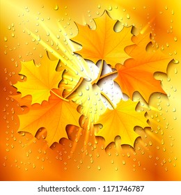 The square background - autumn with sun rays