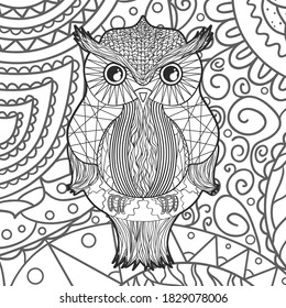 Square background with patterned owl. Hand drawn bird with abstract patterns. Line art