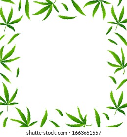 Square background with realistic cannabis or marijuana leaf and frame for text. Poster with hemp plant. Health green product concept for shop, sale, card. Smoke grass. Vector Illustration