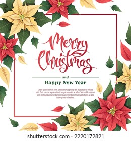 Square background with red and yellow poinsettia. Christmas card, poster with festive floral decor. Vector botanical illustration for New Year and Christmas