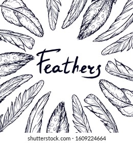 Square background with sketches of feathers drawn by hand.