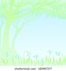 square background a spring landscape with snowdrops with a place for the text