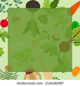 Square banner with carrot, Beetroot, Celery, Parsley, Daikon, Parsnip, Rutabaga, Turnip, Yellow turnip, Arracacha, Maca, and Red, Black, Chinese radish. Template. Flat style. Vector illustration