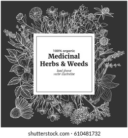 Square banner with chalk illustrations of medicinal herbs and flowers on dark background, vector vintage sketch,chamomile,lavender,calendula,dandelion, st john's wort, plantain, dog rose and valeriana
