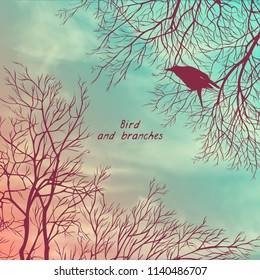 Square banner with crows and tree branches. Template for postcard, poster or advertisement