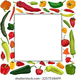 Square banner with different types of peppers. Sweet peppers. Mild and medium hot Chili peppers. Super hot peppers. Vegetables. Vector illustration isolated on white background. Template.