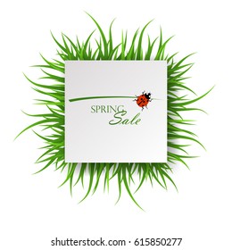 Square banner with grass, for advertising, vector
,  illustration