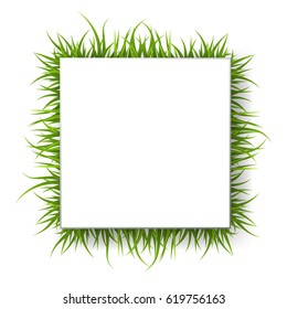 Square banner with grass, vector illustration