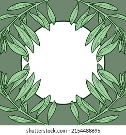 A square banner with green olive branches. Vector illustration with a round empty space for text. Design