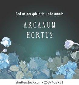 Uma faixa quadrada com exuberantes violetas africanas desenhadas à mão é colocada no centro. O texto em latim fictício traduz o título como The Secret Garden. O cartaz, o banner e a etiqueta também apresentam flores exuberantes.