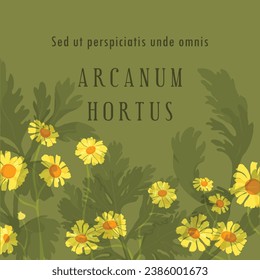 Square banner with lush hand-drawn herbal plants. Dummy Latin text is placed in the center. Flowers are laid out in a slightly arched-down direction. Poster, banner, and label with exuberant flowers.