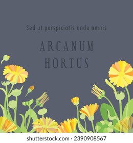 Square banner with lush hand-drawn herbal plants. Dummy Latin text is placed in the center. Flowers are laid out in a slightly arched-down direction. Poster, banner, and label with exuberant flowers.