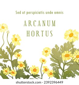 Square banner with lush hand-drawn herbal plants. Dummy Latin text is placed in the center. Flowers are laid out in a slightly arched-down direction. Poster, banner, and label with exuberant flowers.