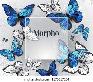Square  banner on gray background with volumetric, realistic blue and white butterflies. 