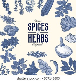 Square banner or poster design with monochrome spices and herbs, sketch style vector illustration. Banner template with realistic hand drawn herbs and spices in monochrome design