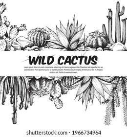 Square banner template with wild cactuses vintage style engraving vector illustration on white background. Banner or card with desert cactuses in etched old style.