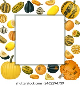 Square banner with types of winter squash. Cucurbita pepo. Cucurbitaceae. Fruits and vegetables. Isolated vector illustration. Template.