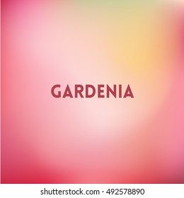 square blurred pink background - sunset colors With motivating quote - gardenia