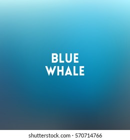 square blurred turquoise background - sky water sea colors With text blue whale