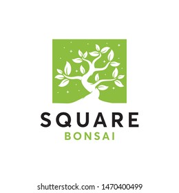 Square Bonsai Logo Design Template Inspiration