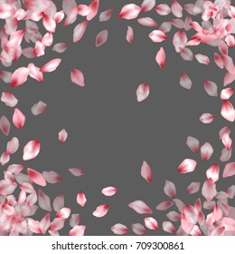 Square border of flying petals isolated on grey invitation background, flower parts wedding decorative frame. Pink blossom elements, flower petals valentines day background border.