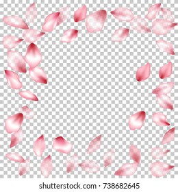 Square border of flying petals isolated on transparent grid invitation background, flower parts wedding decorative frame. Pink blossom elements, flower petals valentines day background border.