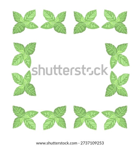 Square Botanical Frame Made of Fresh Green Mint Leaves