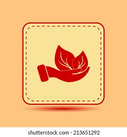 Square button. Vector icon Flat icons.