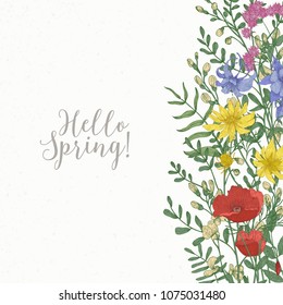 Square card decorated with wild blooming flowers and meadow flowering herbs at right edge and Hello Spring inscription. Beautiful decorative floral background. Hand drawn vector illustration
