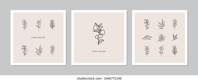 Square card designs with eucalyptus and abstract leave twigs. Doodles and sketches vector illustration background.